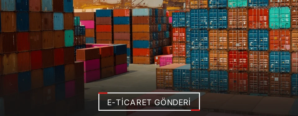 Bolu E-Ticaret Lojistik Firmaları
