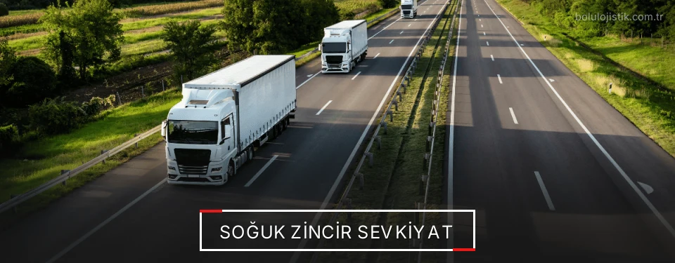 Bolu Frigo Taşımacılık Firmaları