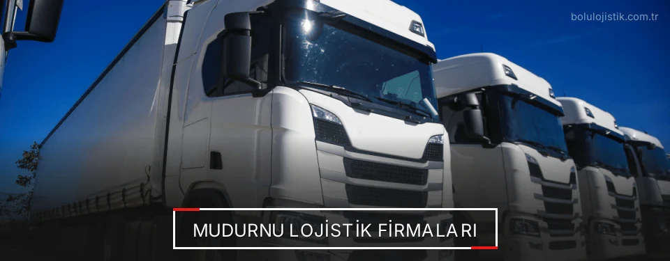 Mudurnu Lojistik Taşımacılık